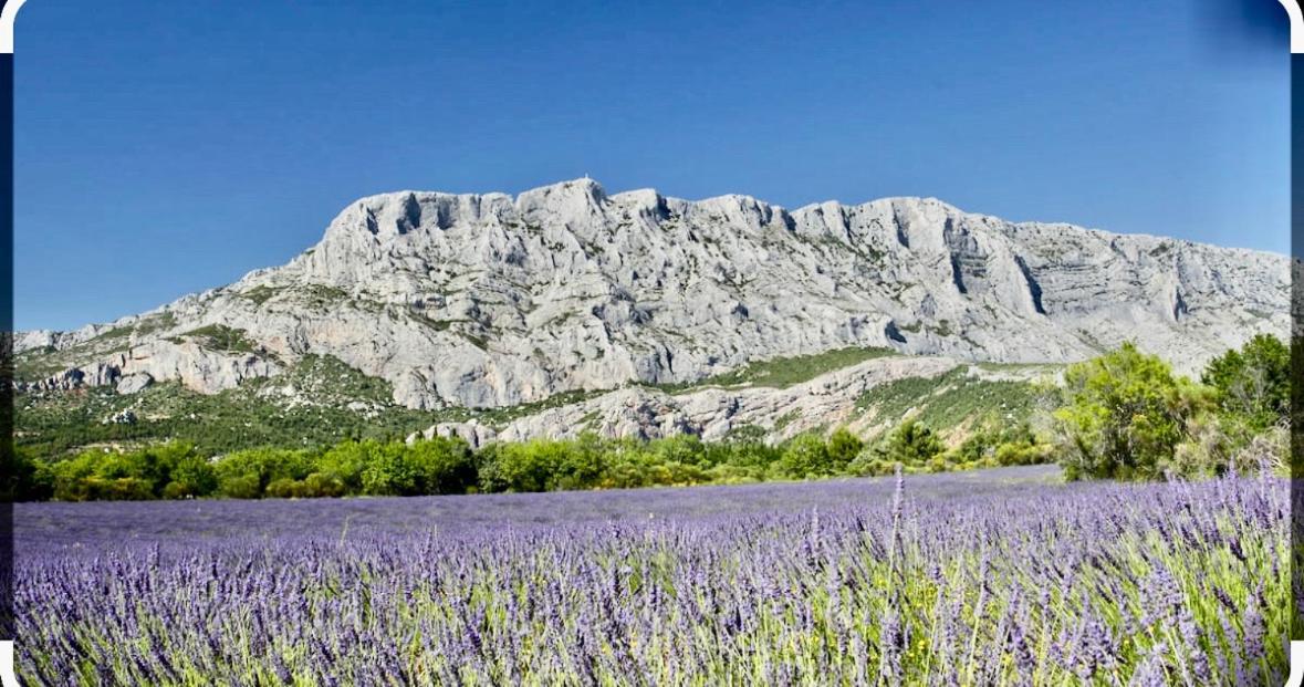 Le Clos D'Aix Studio 102 Parking Et Piscine Gratuite Aix-en-Provence Eksteriør billede